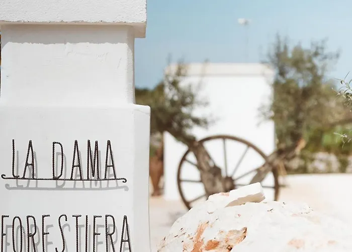 Casa vacanze: Trullo La Dama Forestiera